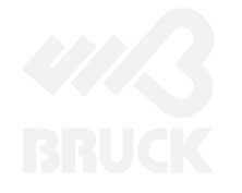 Logo BRUCK IMPORTADORA